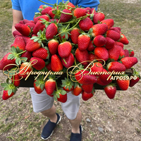 Клубника японской селекции «КОТОКА» (НАШ ШОК И ВОСТОРГ В 2024 ГОДУ!!!) Клубника японской селекции «КОТОКА» (НАШ ШОК И ВОСТОРГ В 2024 ГОДУ!!!)