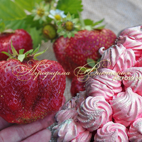 Клубника ЗЕФИРНАЯ (КРУПНОМЕР! ОГРОМНЫЙ КУСТ, УРОЖАЙ В ГОД ПОСАДКИ) Клубника ЗЕФИРНАЯ (КРУПНОМЕР! ОГРОМНЫЙ КУСТ, УРОЖАЙ В ГОД ПОСАДКИ)