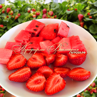 Клубника "АРБУЗНОЕ КОНФЕТТИ" (КРУПНОМЕР! ОГРОМНЫЙ КУСТ, УРОЖАЙ В ГОД ПОСАДКИ) Клубника "АРБУЗНОЕ КОНФЕТТИ" (КРУПНОМЕР! ОГРОМНЫЙ КУСТ, УРОЖАЙ В ГОД ПОСАДКИ)