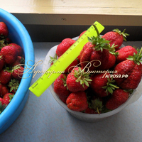 Клубника СОЛНЕЧНАЯ ПОЛЯНКА (КРУПНОМЕР! ОГРОМНЫЙ КУСТ, УРОЖАЙ В ГОД ПОСАДКИ) Клубника СОЛНЕЧНАЯ ПОЛЯНКА (КРУПНОМЕР! ОГРОМНЫЙ КУСТ, УРОЖАЙ В ГОД ПОСАДКИ)