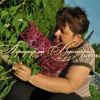 Сирень ЗНАМЯ ЛЕНИНА (Znamya Lenina, Россия, Колесников) Сирень ЗНАМЯ ЛЕНИНА (Znamya Lenina, Россия, Колесников)